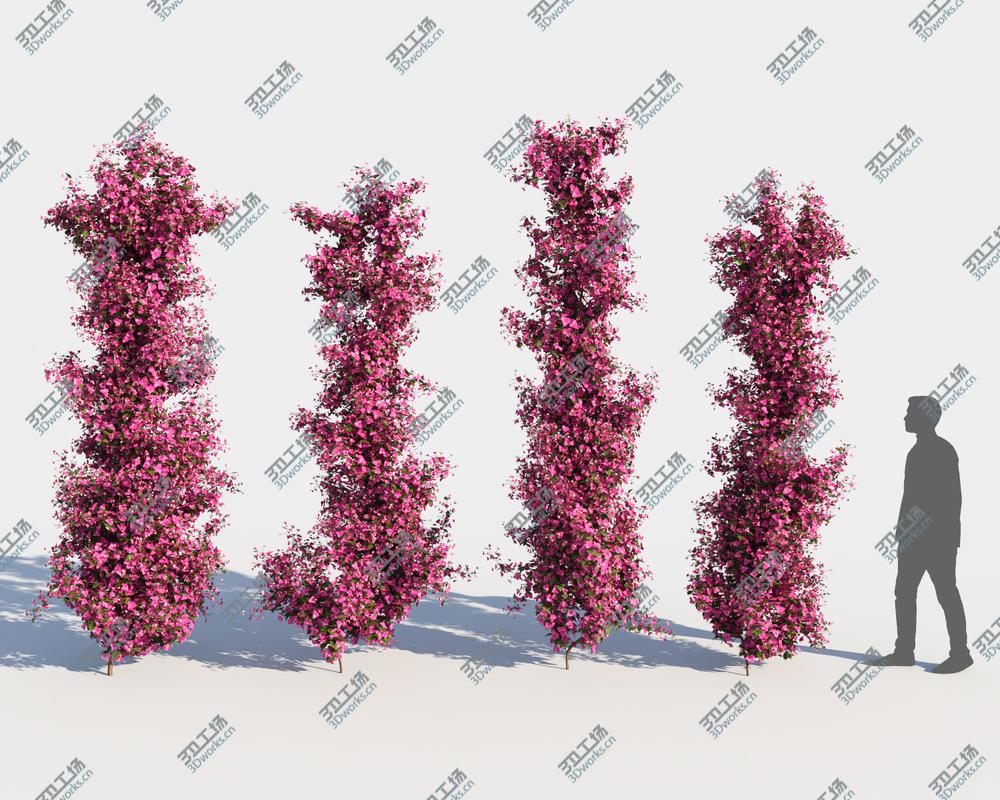 images/goods_img/202104092/3D Bougainvillea Collection (-GrowFX) model/4.jpg